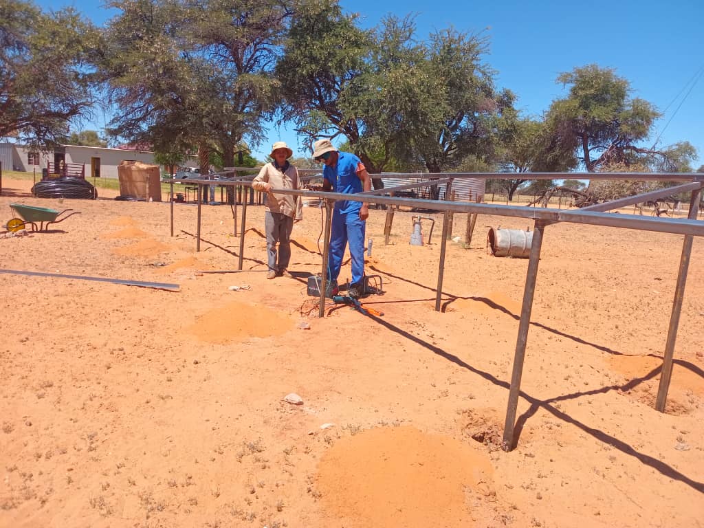 whatsapp image 2026 01 10 at 16.53.19