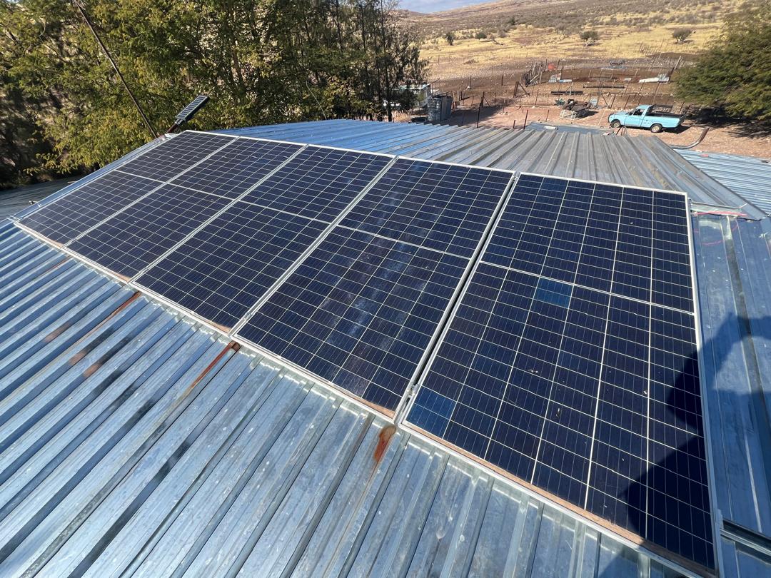 whatsapp image 2026 01 10 at 16.53.22